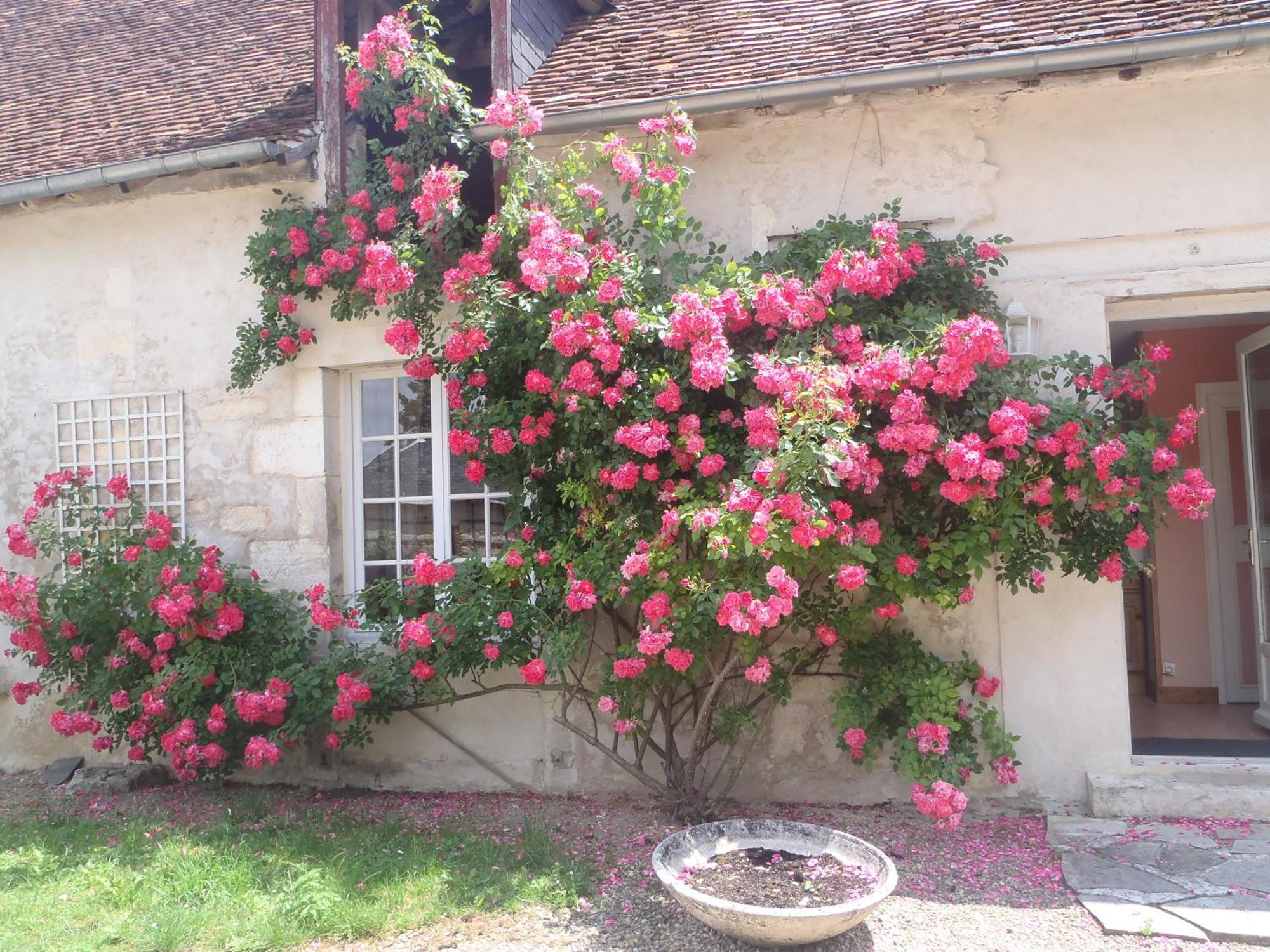 Chambres D'Hotes Du Domaine De Jacquelin Saint-Germain-du-Puy Phòng bức ảnh